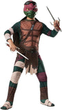 Ninja Turtle Costumes