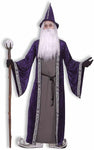 Wizard Adult Costume