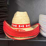 Straw cowboy hat