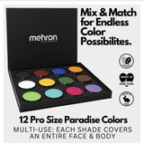 Mehron 12 Color pro pallet