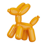 Balloon twisting Birthday Party !