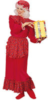 Mrs. Claus Costume Used