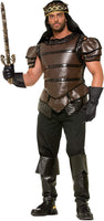 Medieval Fantasy King's Armor Adult Halloween Costume X-Large