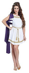 Grecian Toga Dress - Size Adult XL