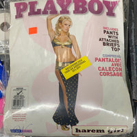 Playboy Harem Girl (adult)