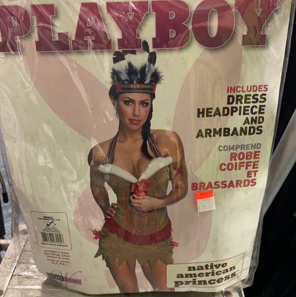 Sexy Native American Princess (adult)
