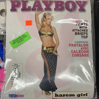 Playboy Harem Girl (adult)
