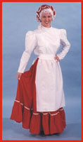 Mrs. Claus Costume Used