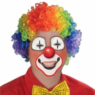 Beistle Co. RAINBOW CLOWN WIG ONE SIZE FITS MOST